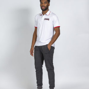 Polo homme FOXES